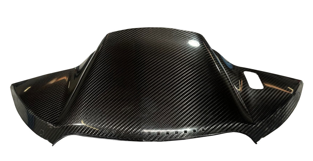 Carbon Fiber Motorcycle Parts - DTF Performance