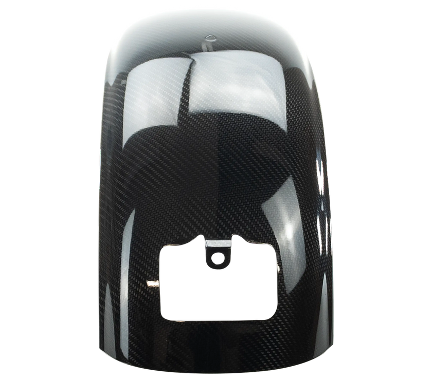 Low Rider S Rear Fender Custom DTF True Carbon Fiber™ Softail Lowrider Rear Fender