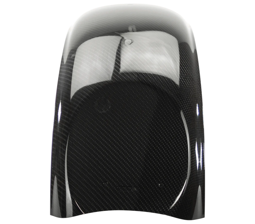 Low Rider S Rear Fender Custom DTF True Carbon Fiber™ Softail Lowrider Rear Fender