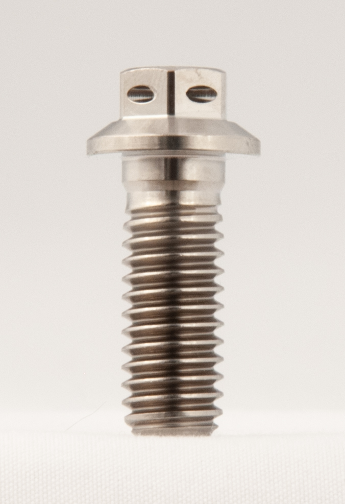 /images/101/DTF-rear-rotor-bolts-001.jpg